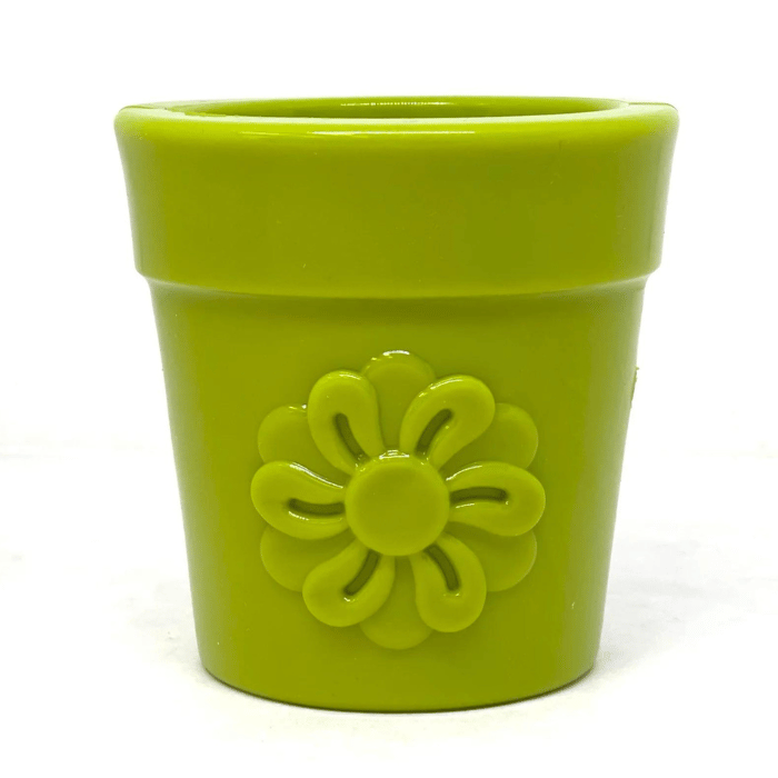 Sodapup jouets pour chien Pot de fleurs - bol &amp; distributeur de gâteries