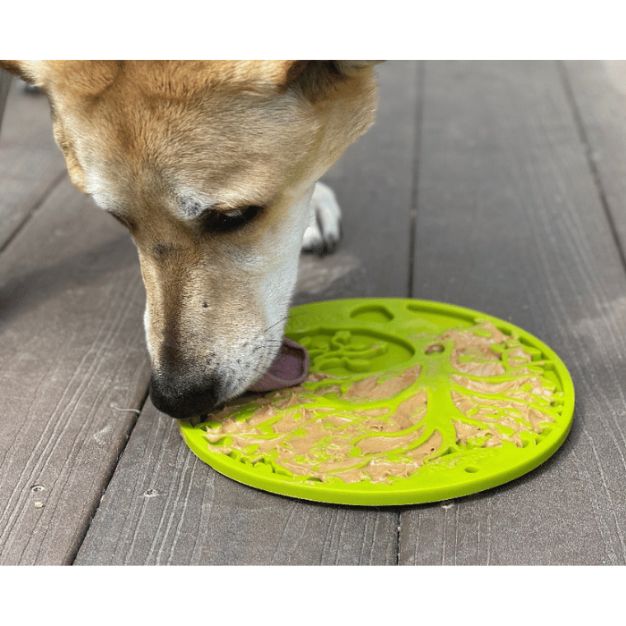Sodapup jouets pour chien Tapis de léchage Arbre avec ventouses