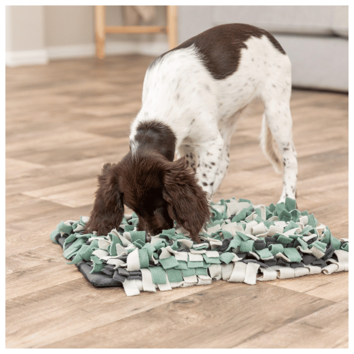Snuffle Mat for Dogs and Cats, Snuffle Mat Enrichment Mat