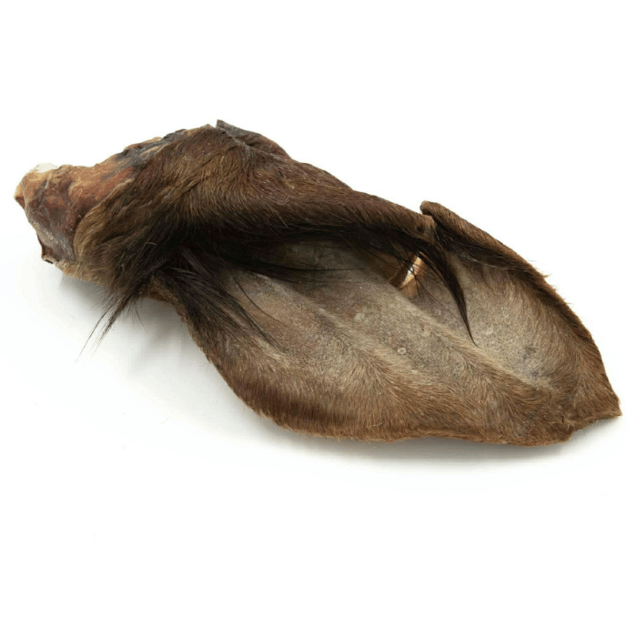 Vrac pour chien Gâteries Oreille de boeuf poilue GÉANTE Oreille de boeuf poilue GÉANTE