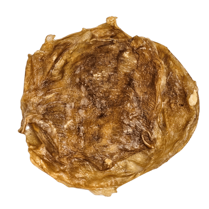 Vrac pour chien Gâteries Vessie de boeuf plate Vessie de boeuf plate