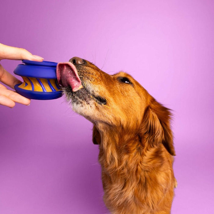 WagLab Jouets pour chiens Jouet pour chien WagLab Play Stack - Le Slobber Jouet pour chien WagLab Play Stack - Le Slobber