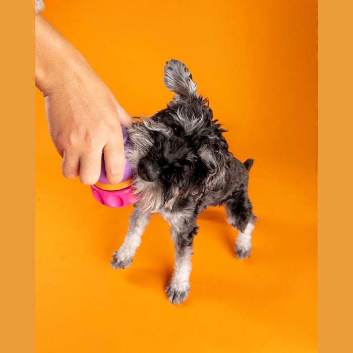 WagLab Jouets pour chiens Jouet pour chien WagLab Play Stack - Le Spinner Jouet pour chien WagLab Play Stack - Le Spinner
