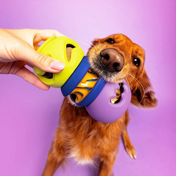WagLab Jouets pour chiens Jouet pour chien WagLab Play Stack - Le Squiggle Jouet pour chien WagLab Play Stack - Le Squiggle