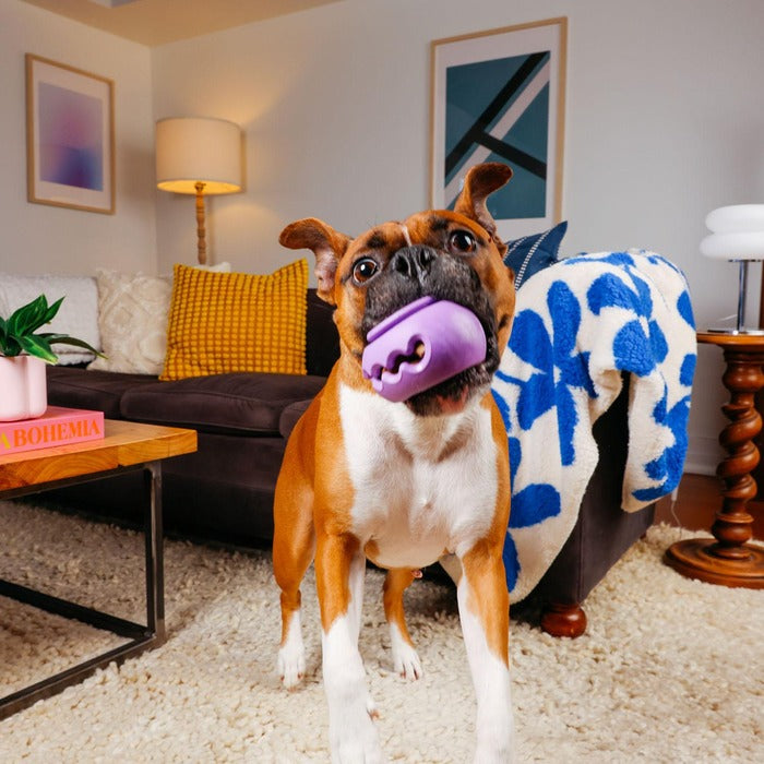 WagLab Jouets pour chiens Jouet pour chien WagLab Play Stack - Le Squiggle Jouet pour chien WagLab Play Stack - Le Squiggle