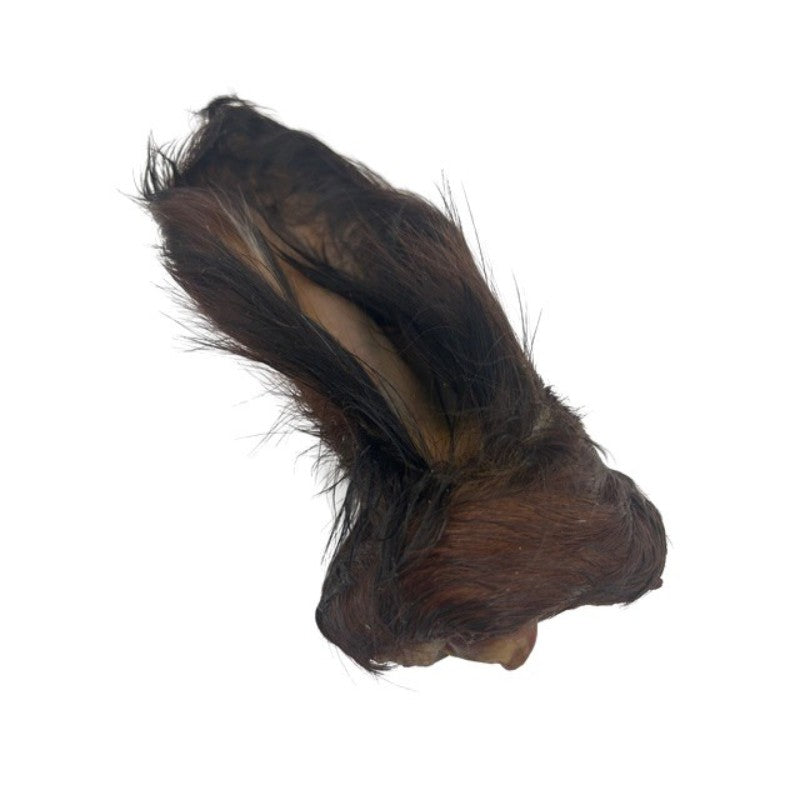 Wawwaw Gâteries Wawwaw - Oreille de boeuf poilue pour chien Wawwaw - Oreille de boeuf poilue pour chien