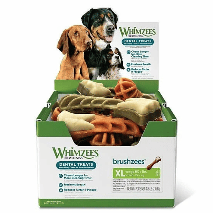 Whimzees Gâteries Gâteries dentaires Whimzees BRUSHZEES brosse à dent XL - BOÎTE DE 18 Gâteries dentaires Whimzees BRUSHZEES brosse à dent XL - BOÎTE DE 18