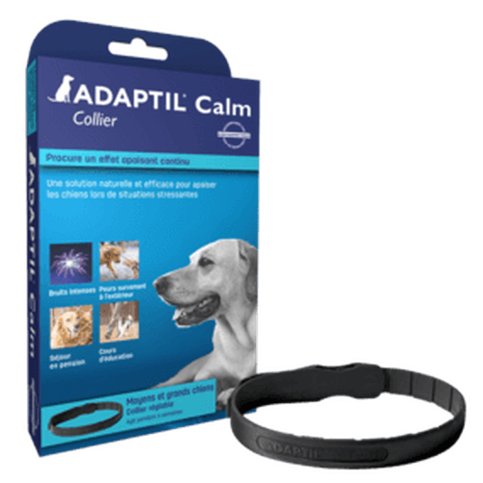 Adaptil calmant Adaptatil collier calmant pour chiens