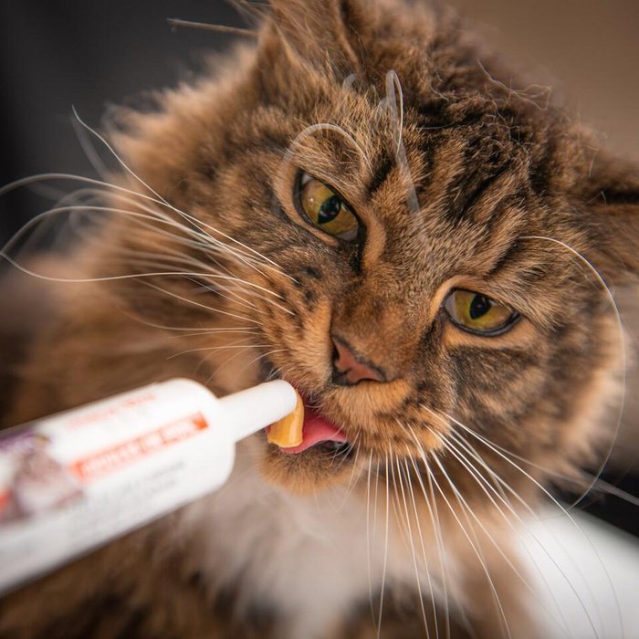 Baci+ supplement 30g boules de poils 3•6•9