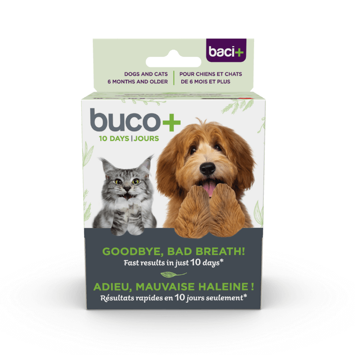 Baci+ supplement buco+10 jours | Traitement contre la mauvaise haleine chats et chiens