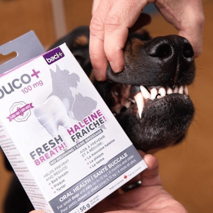 Baci+ supplement buco+  Soins dentaires pour chiens de plus de 15 kg
