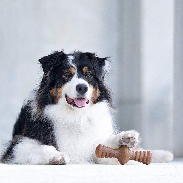 Benebone jouets pour chien Jouet à gruger Benebone Zaggler au Bacon
