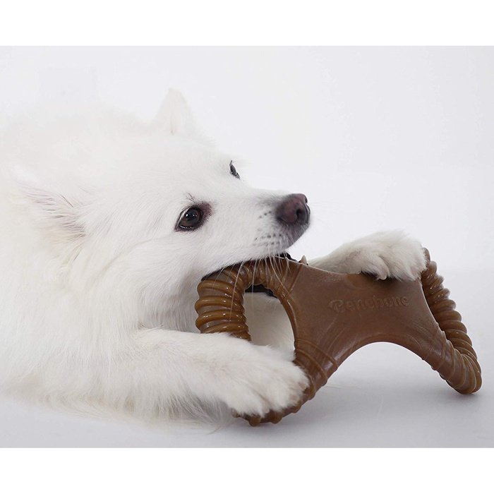 Benebone jouets pour chien Jouet à mâcher pour chien Benebone Rocking Dental Chew Bacon