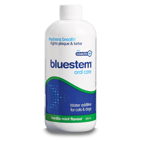 Bluestem clearance dental dog