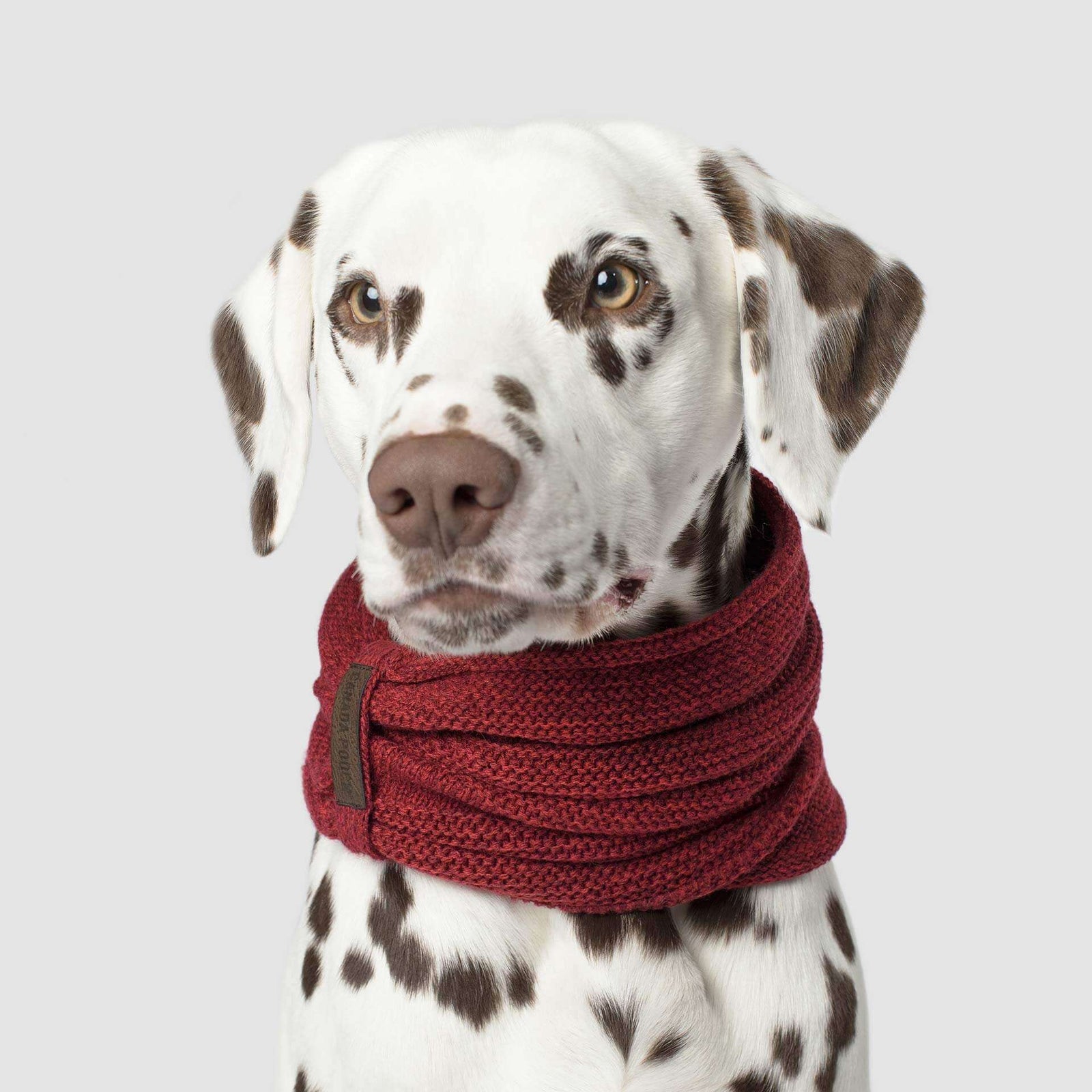 Canada Pooch exclus Foulard pour chien