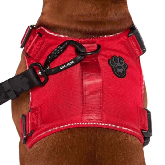 Canada pooch harness small hot sale