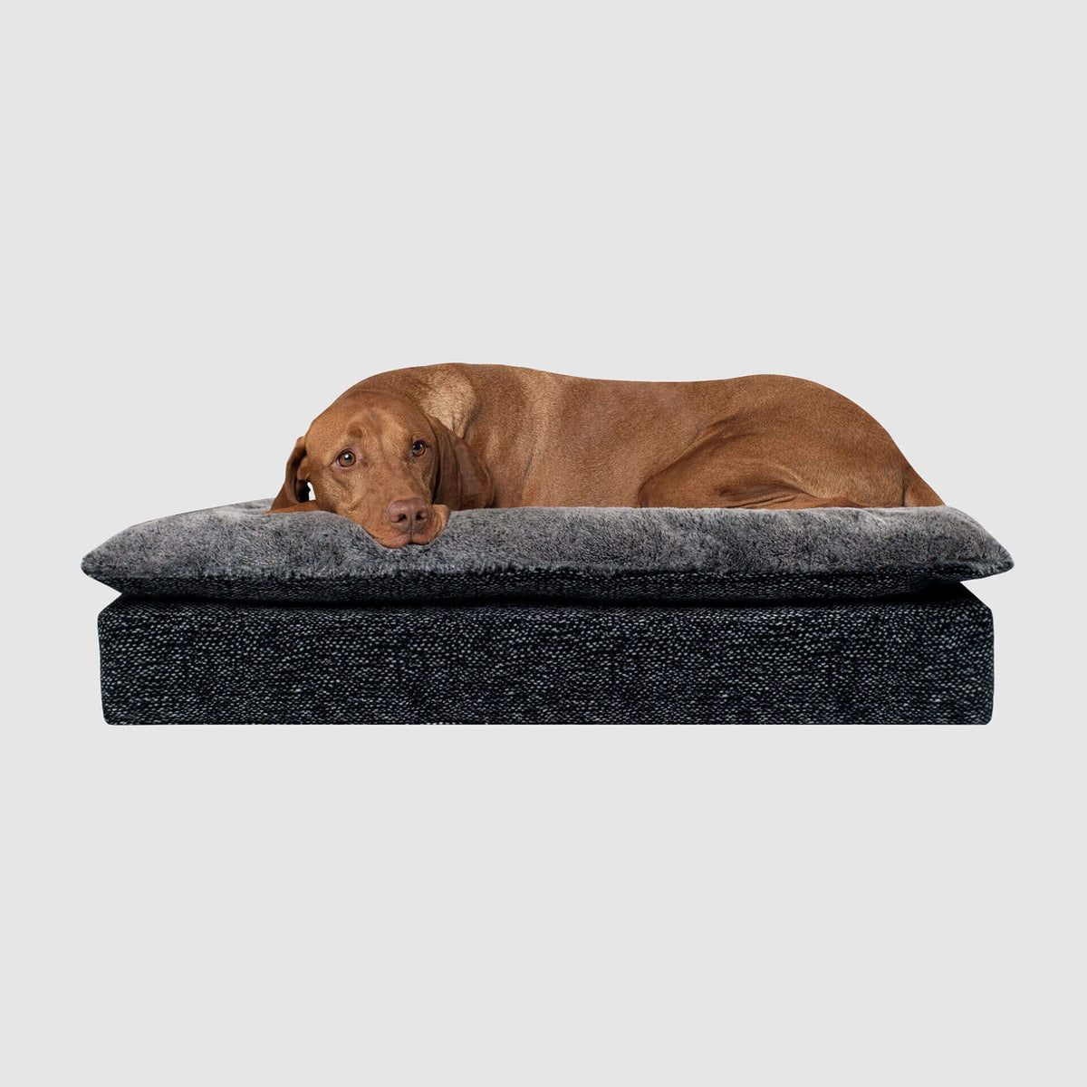 Canada Pooch lit Lit pour chien Pillow Topper Birch Bed