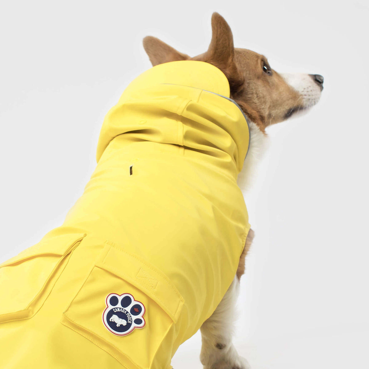 Canada Pooch manteau Manteau de pluie pour chiens Canada Pooch Torrential Tracker