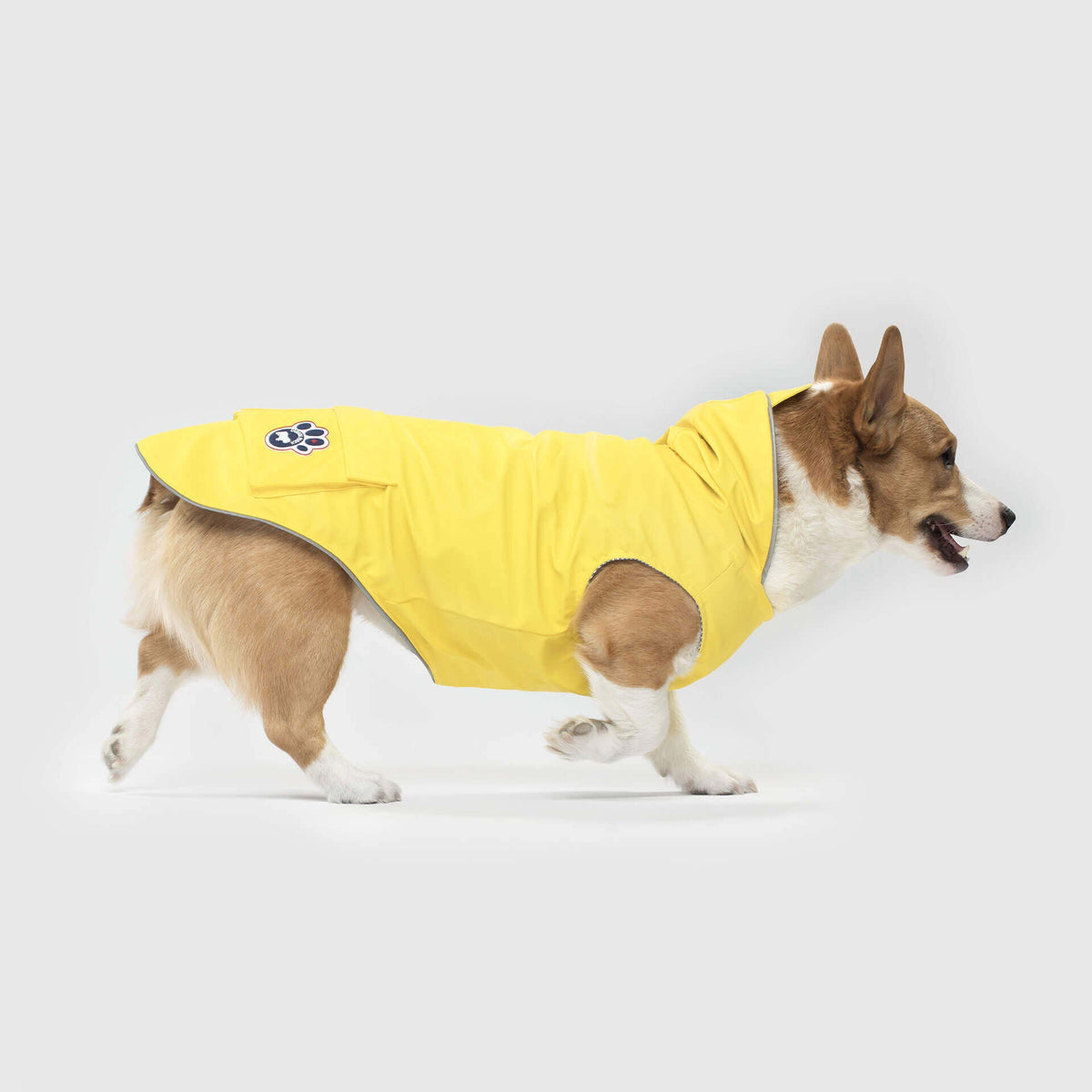 Canada Pooch manteau Manteau de pluie pour chiens Canada Pooch Torrential Tracker