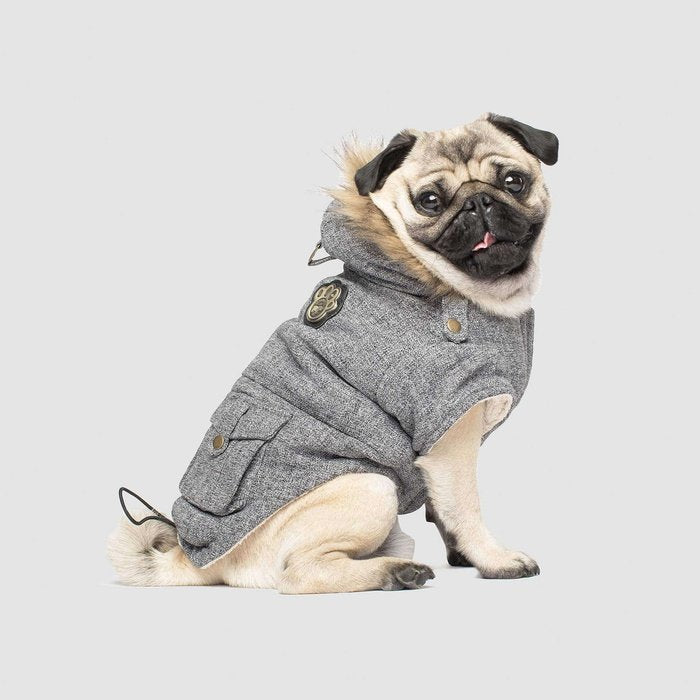 Canada Pooch manteau Manteau pour chien Alaskan Army Parka Canada Pooch