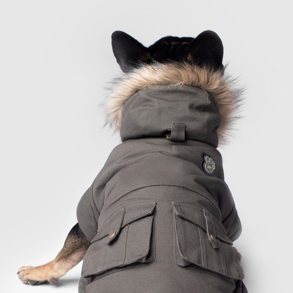 Canada Pooch manteau Manteau pour chien Alaskan Army Parka Vert Armée