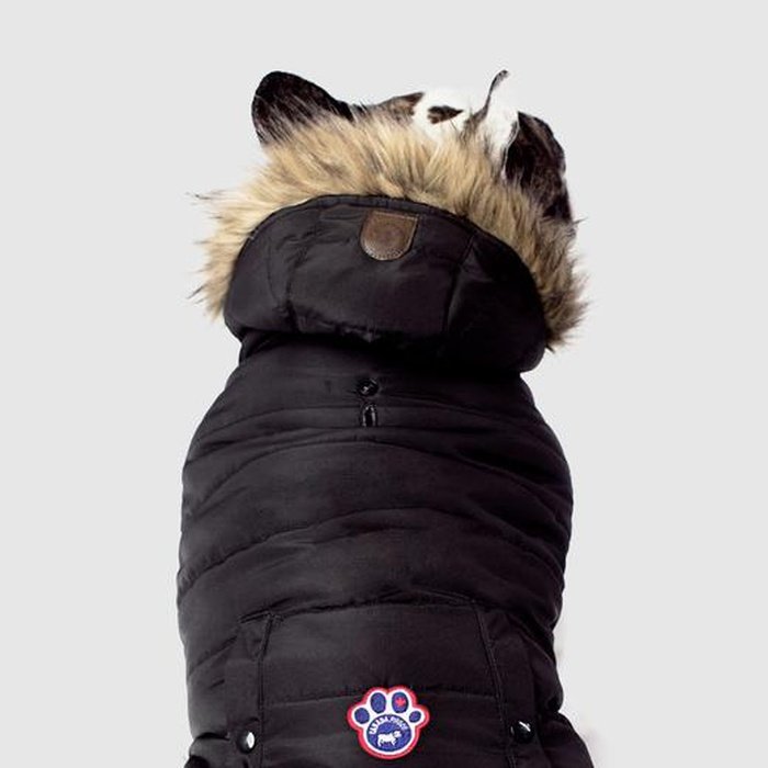 Canada Pooch manteau Manteau pour chien Canada Pooch North Pole Parka