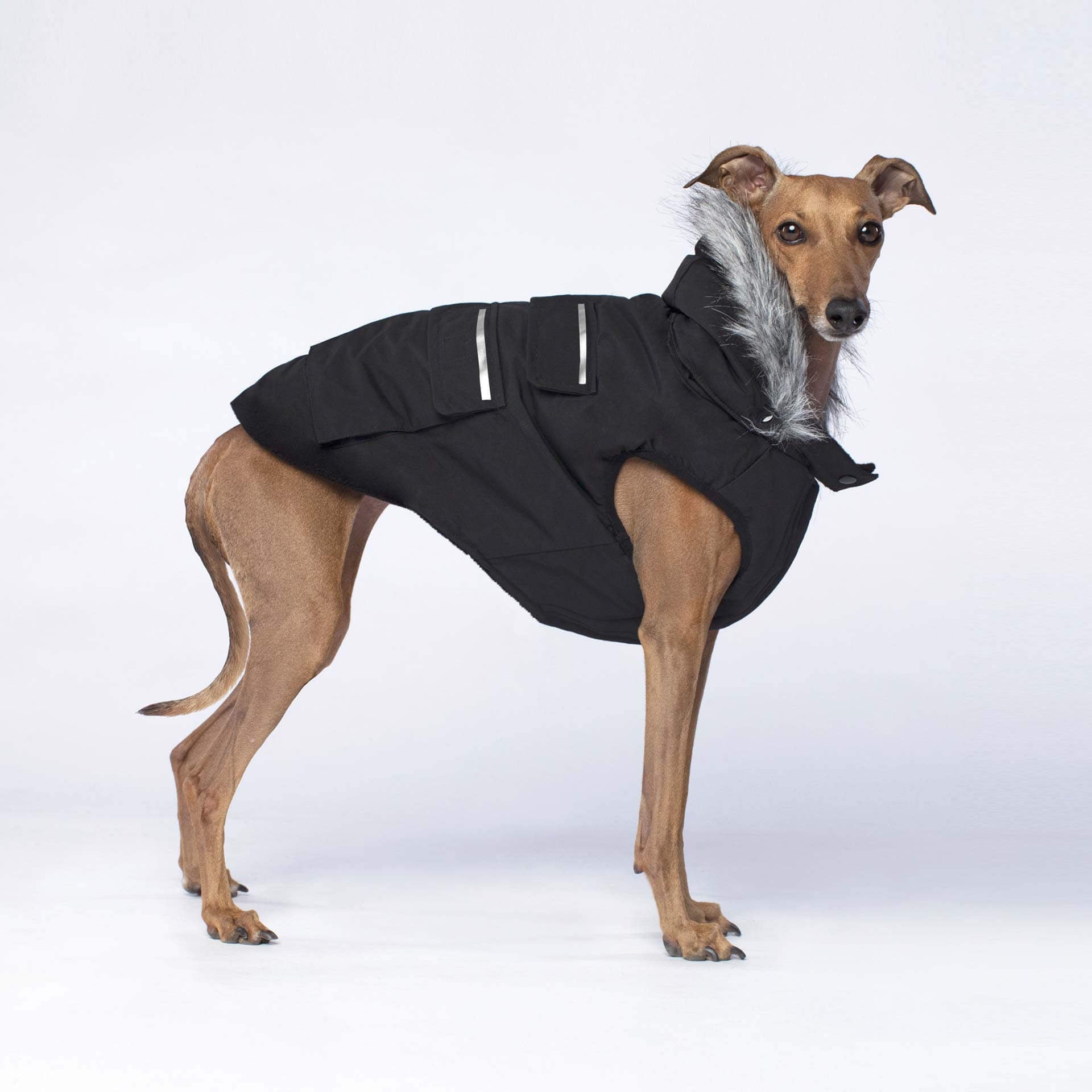 Canada Pooch manteau Manteau pour chien Everest Explorer Noir Canada Pooch