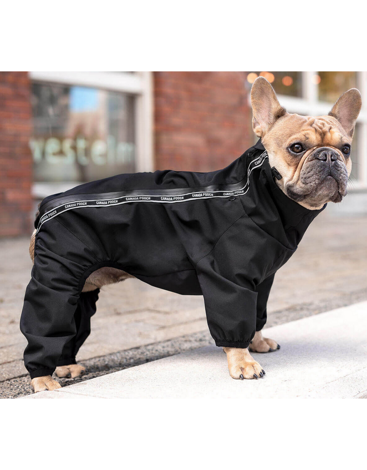 Canada Pooch manteau The Slush Suit pour chiens