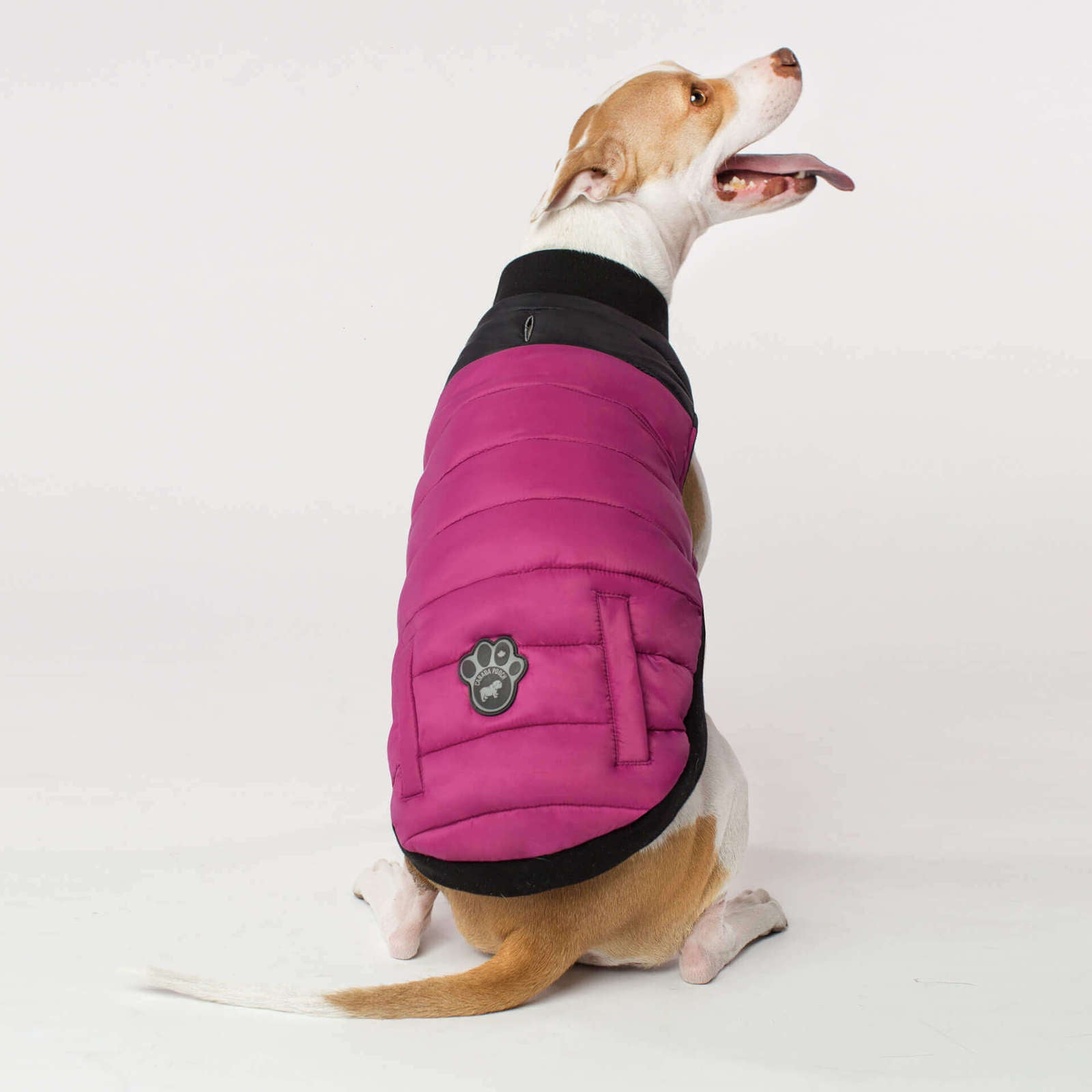 Canada Pooch manteau Veste pour chien Summit Stretch, Rose