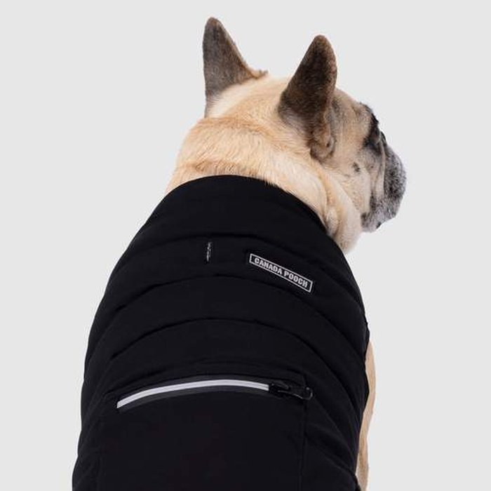 Canada Pooch manteau Veste pour chien Ultimate Stretch