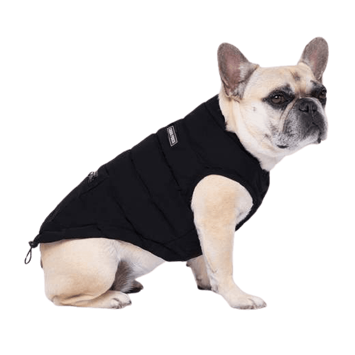 Canada Pooch manteau Veste pour chien Ultimate Stretch