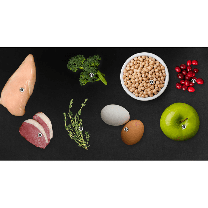 Canisource nourriture CaniSource Grand Cru Poulet et Canard sans grains déshydratée