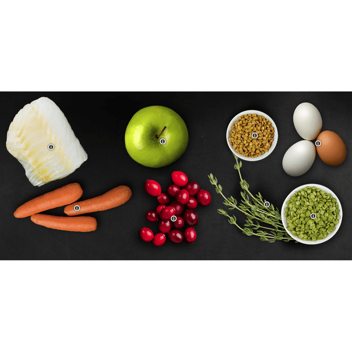 Canisource nourriture CaniSource pour chat, poisson sans grain