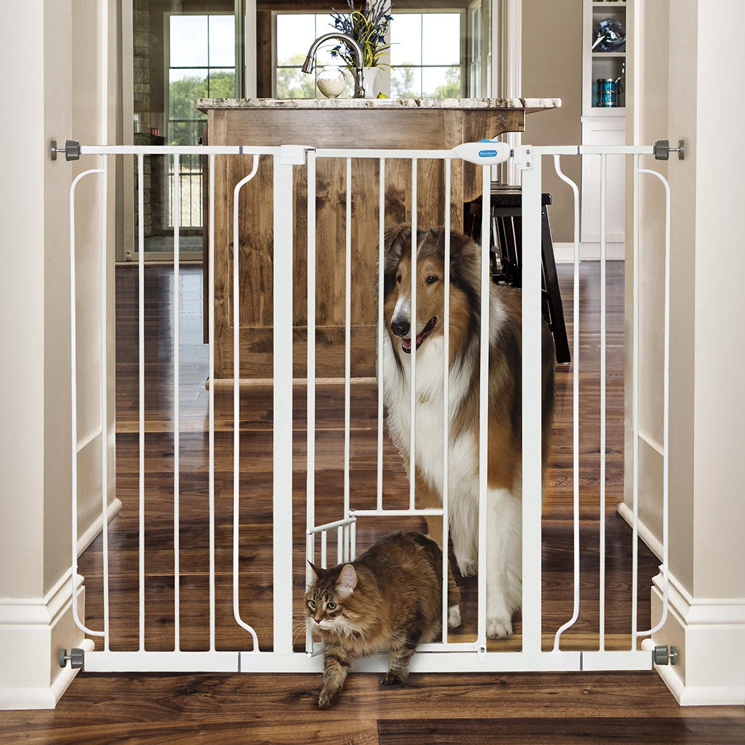 HQ-Barrière métallique assemblée pour chien et chat, escalier