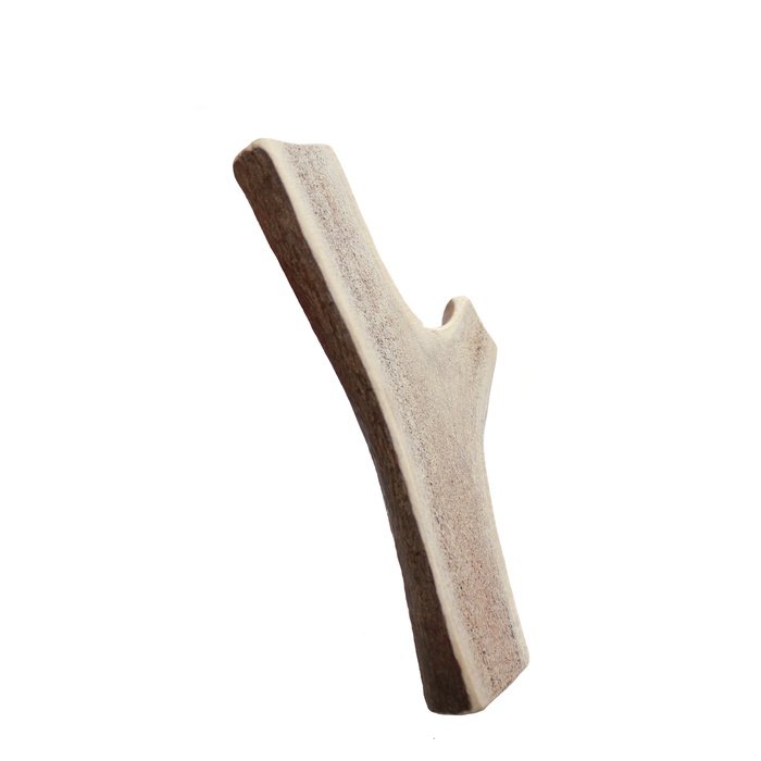 Dentler bois de cerf XX-large Bois de cerf Dentler coupé en deux Bois de cerf Dentler coupé en deux