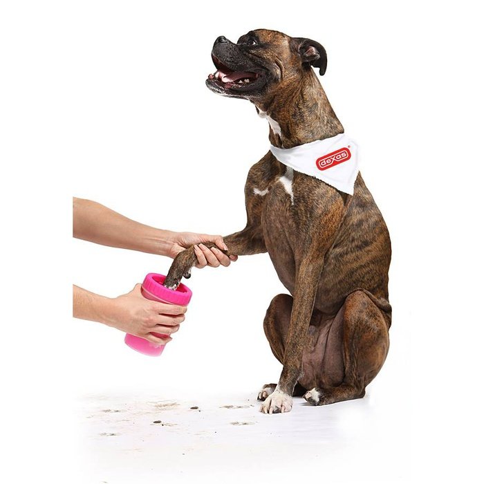 PEDOMUS Nettoyeur de pattes pour chiens avec gant en microfibre Portable  Pattes de chien Nettoyeur de pattes de chien en silicone avec de grandes
