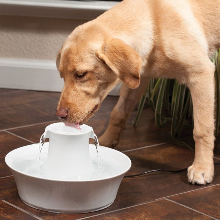 Drinkwell fontaine Fontaine en céramique pour animaux Drinkwell avalon