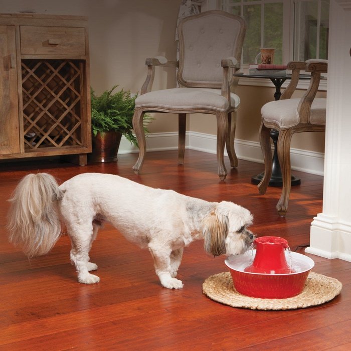 Drinkwell fontaine Fontaine en céramique pour animaux Drinkwell avalon Rouge