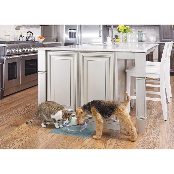 Drinkwell fontaine Fontaine pour chat et chien Drinkwell Sedona