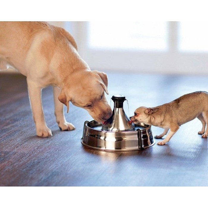 Bouteille d'eau suspendue pour chien, mangeoire en cage en métal Kennel  abreuvoir (250 ml)