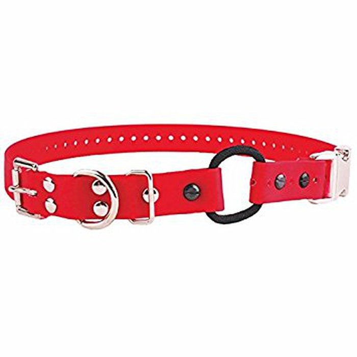 E-collar technologies bungee Rouge Quick Snap Bungee 3/4&#39;&#39; E-collar Technolgies
