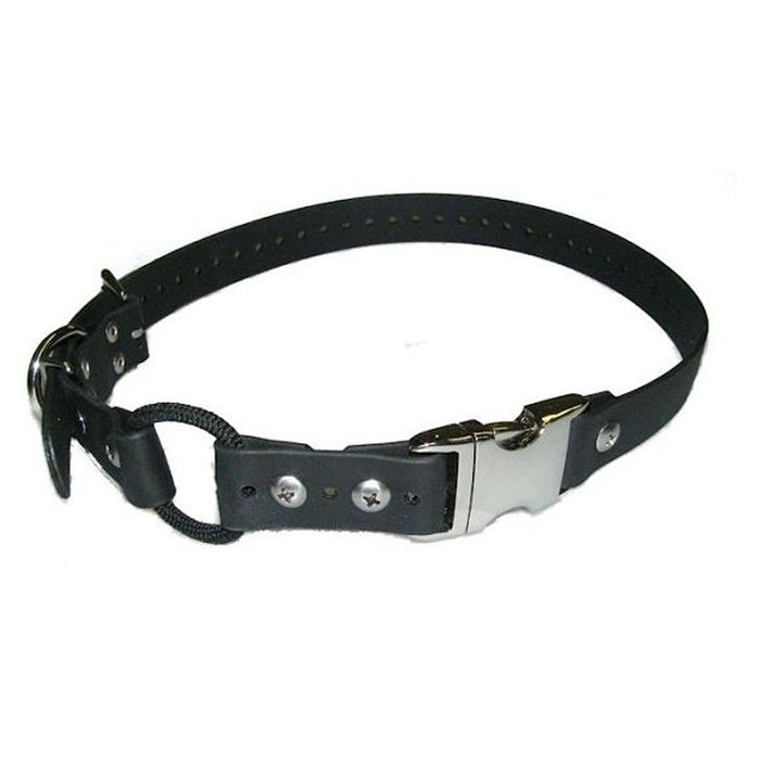 E-collar technologies bungee Rouge Quick Snap Bungee 3/4'' E-collar Technolgies