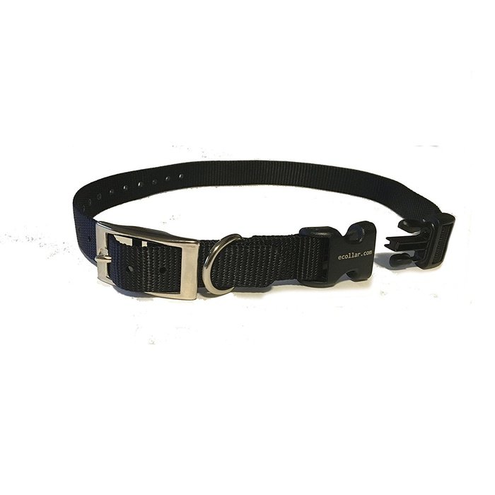 E-collar technologies collier Collier en nylon 3/4'' ajustement boucle et quick snap