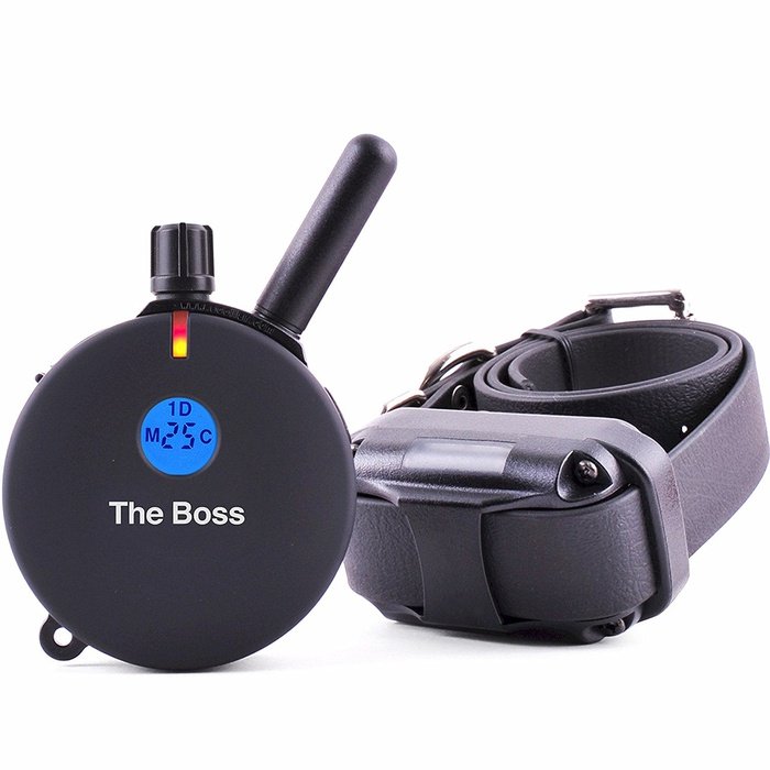the boss et-800 e-collar