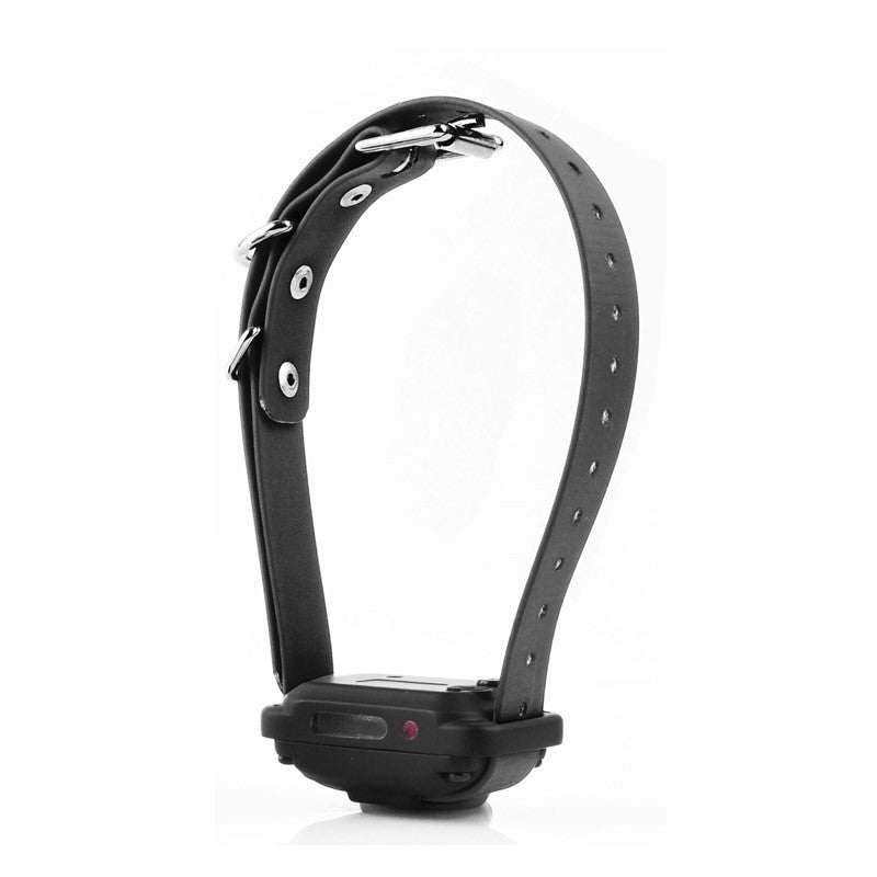 E-collar technologies exclus Récepteur pour Ecollar Pager Only