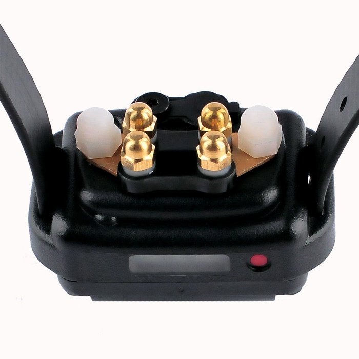 E-collar technologies prongs Points de contact Comfort Pad HA