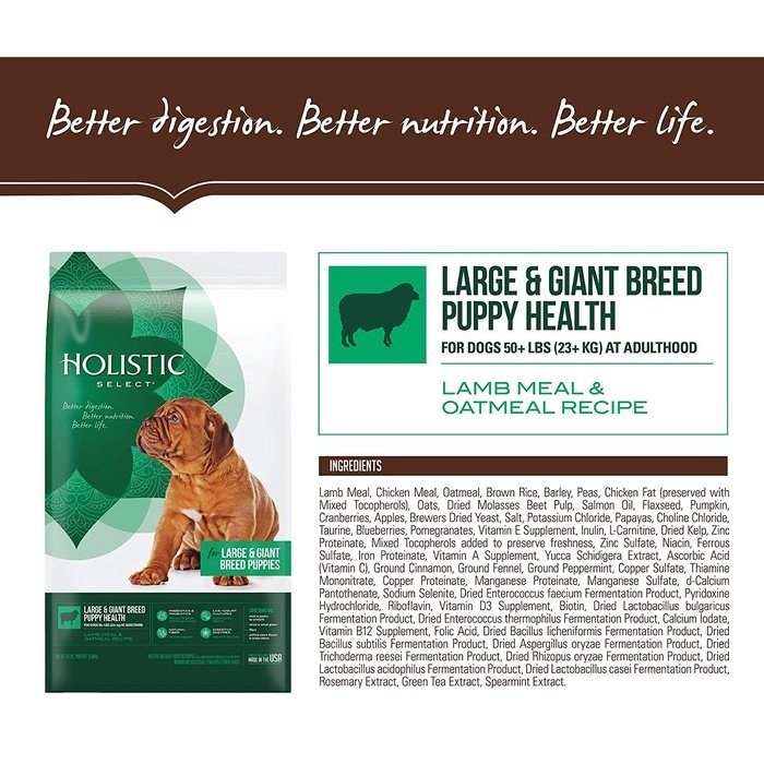 Eagle nourriture Nourriture pour grand chien Holistic Select Agneau Puppy Health