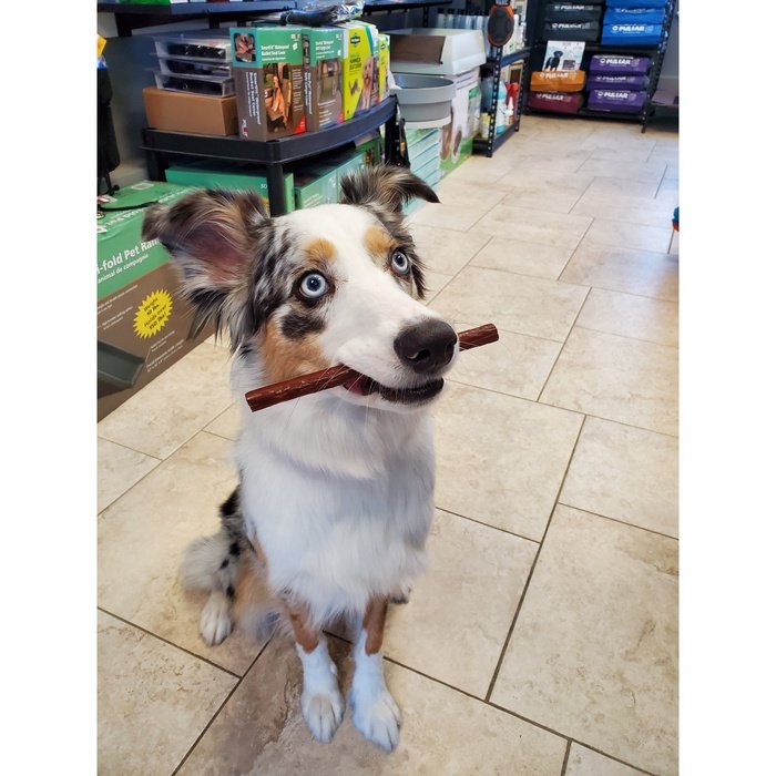 Etta Says Gâteries Gâterie pour chien Bâton Etta Says Yumm Sticks au Boeuf
