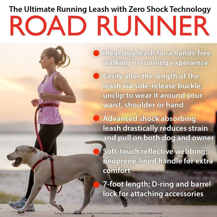Ezydog Laisse Laisse de jogging pour chiens Ezydog Road Runner
