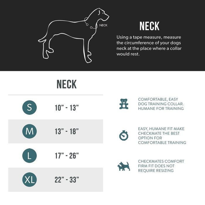 Ezydog martingale Collier martingale Ezydog checkmate Noir